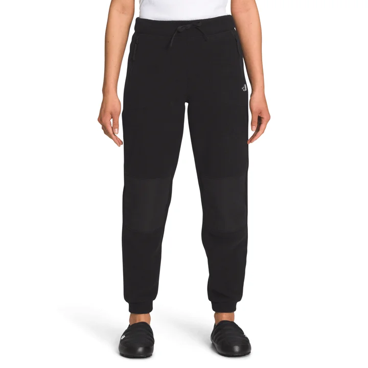 The North Face Alpine Polartec 200 Pant Womens Comfy Zip-Up Pants